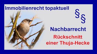 Nachbarschaftsstreit Grenzbewuchs  ThujaHecke zurückschneiden Tutorial  Nachbarrecht [upl. by Yenterb302]