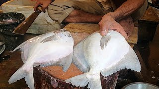 Excellent Pomfret Fish Cutting Live In Fish Market  Fillet Fishing Cut [upl. by Eatnohs]