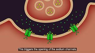 Resistance101  Insecticide classes amp modes of action [upl. by Nesaj]