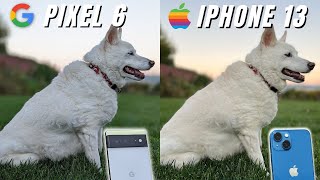 Google Pixel 6 vs iPhone 13 Camera Comparison [upl. by Faso]