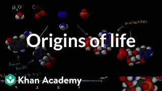 Origins of life  Biology  Khan Academy [upl. by Westney864]