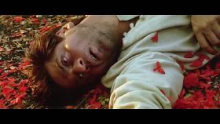 Devdas Movie End Scene  Very Emotional  Shahrukh Khan and Aishwariya Rai [upl. by Eleph]