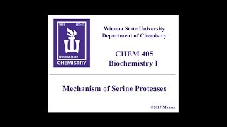 CHEM 405  Serine Protease Mechanism [upl. by Aisena891]