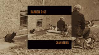 Damien Rice  Chandelier [upl. by Cattima]