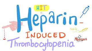 HeparinInduced Thrombocytopenia HIT  A Comprehensive Explanation [upl. by Anyrb]