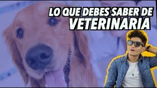 COMO ES ESTUDIAR VETERINARIA [upl. by Edelstein]