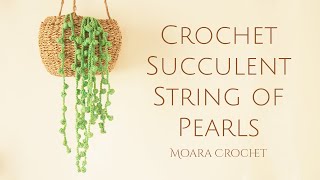 Free Crochet Succulent Pattern  String of Pearls  Moara Crochet [upl. by Curt]