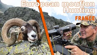 European mouflon Hunting in France  Chasse au Mouflon en France  2021 [upl. by Brottman]