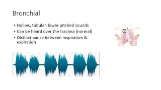 Essential Lung Sounds [upl. by Carrissa397]