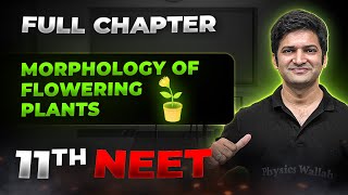 Morphology of Flowering Plants FULL CHAPTER  Class 11th Botany  Arjuna NEET [upl. by Aninep]