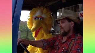 Muppet Songs Waylon Jennings and Big Bird  Aint No Road Too Long [upl. by Aicemed958]