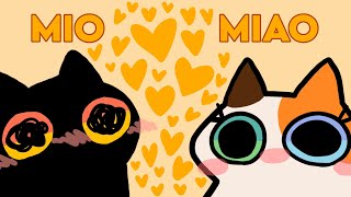 MIO MIAO [upl. by Lyj]