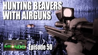 Hunting Beavers with Airguns  AirHeads episode 50 [upl. by Palmira]