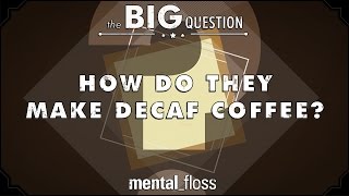 How Do They Make Decaf Coffee  Big Questions  Ep1 [upl. by Gamages]