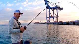 Brisbane River to Moreton IslandEpic Fishing [upl. by Assenahs]