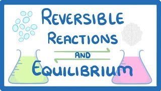 GCSE Chemistry  Reversible Reactions and Equilibrium [upl. by Stroud946]