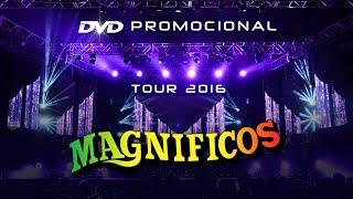 Magnificos Ao Vivo no Classic Hall  DVD Promocional 2016 [upl. by Nemhauser]