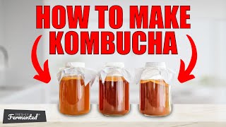 How To Make Kombucha  Tutorial [upl. by Connett]