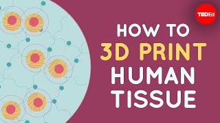 How to 3D print human tissue  Taneka Jones [upl. by Behlau351]