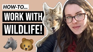 How to Become a Wildlife Biologist in 5 minutes [upl. by Cristabel]