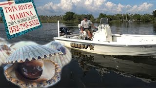 Scalloping in Crystal River [upl. by Lleinad]