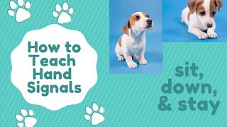 How to Teach Your Dog Hand Signals  Dog Training Tutorial [upl. by Stauder]