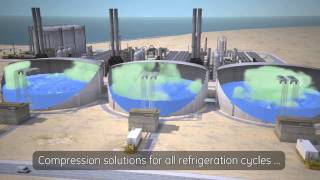 LNG  Natural Gas Industry Tutorial [upl. by Jaella206]