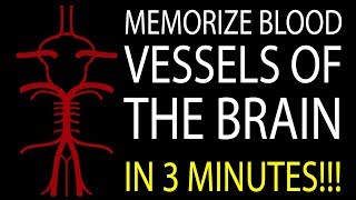 MNEMONIC Brains Blood Supply MEMORIZE in 3 Minutes [upl. by Kilar455]