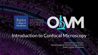 Introduction to Confocal Microscopy [upl. by Grimonia643]