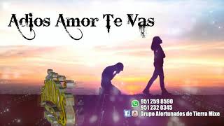 Adios Amor Te Vas  versión chilena Grupo Afortunados de Tierra Mixe [upl. by Pearl]