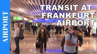 TRANSIT WALK AT FRANKFURT Airport FRA Terminal 1  Connection Flight Transfer Arriving amp Departing [upl. by Dasa341]