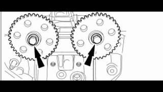 Ford Focus Timing Chain Marks [upl. by Sigismund]