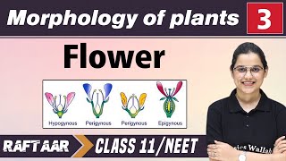 Morphology in Plants 03  Flower  Class 11NEET  RAFTAAR [upl. by Jyoti437]