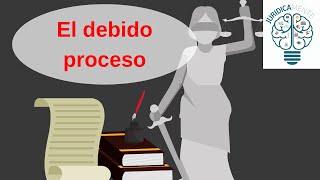 El debido proceso [upl. by Asirrak]