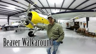 De Havilland Beaver Walkaround [upl. by Natsirhc698]