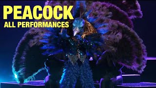 Peacock All Performances amp Reveal Masked Singer [upl. by Hoisch]