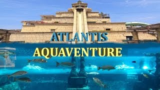 ATLANTIS AQUAVENTURE WATER PARK  THE PALM  DUBAI 4K [upl. by Gregory430]