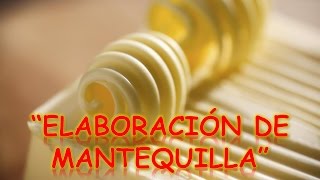 PROCESO DE ELABORACIÓN DE MANTEQUILLA  ProcesosProductivos [upl. by Mistrot434]