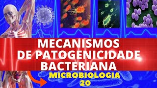 MECANISMOS DE PATOGENICIDADE BACTERIANA  MICROBIOLOGIA BACTÉRIAS PATOGÊNICAS [upl. by Erlond]