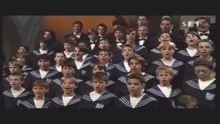 4 Advent Traditionelle Weihnachtslieder  Zürcher Sängerknaben Zurich Boys Choir TV [upl. by Fiore]