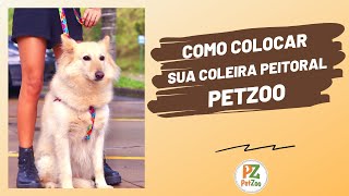 COMO REGULAR E COLOCAR A COLEIRA PEITORAL PETZOO [upl. by Decca]