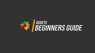 Assets Beginners Guide [upl. by Hada481]