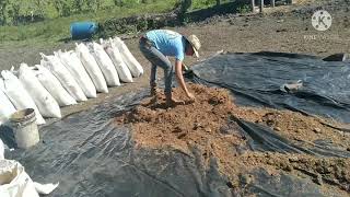 COMO PREPARAR ALIMENTO PARA NOVILLOS DE ENGORDA [upl. by Hasseman]