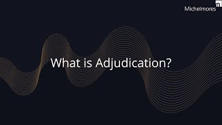 What is Adjudication [upl. by Noterb]