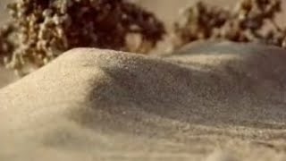 How to Make a Sand Dune  Dune  BBC Studios [upl. by Gahl]