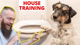 Beginners Guide To House Training A Puppy [upl. by Aihsetan967]