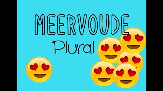 Meervoude Plural Afrikaans FAL [upl. by Tilda]