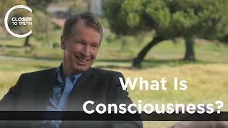 Donald Hoffman  What is Consciousness [upl. by Galang906]