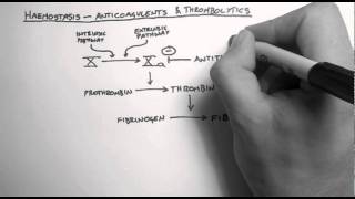 Haemostasis 3  Anticoagulants amp Thrombolytics [upl. by Brote615]