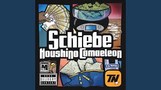 Schiebe [upl. by Elleinnod]